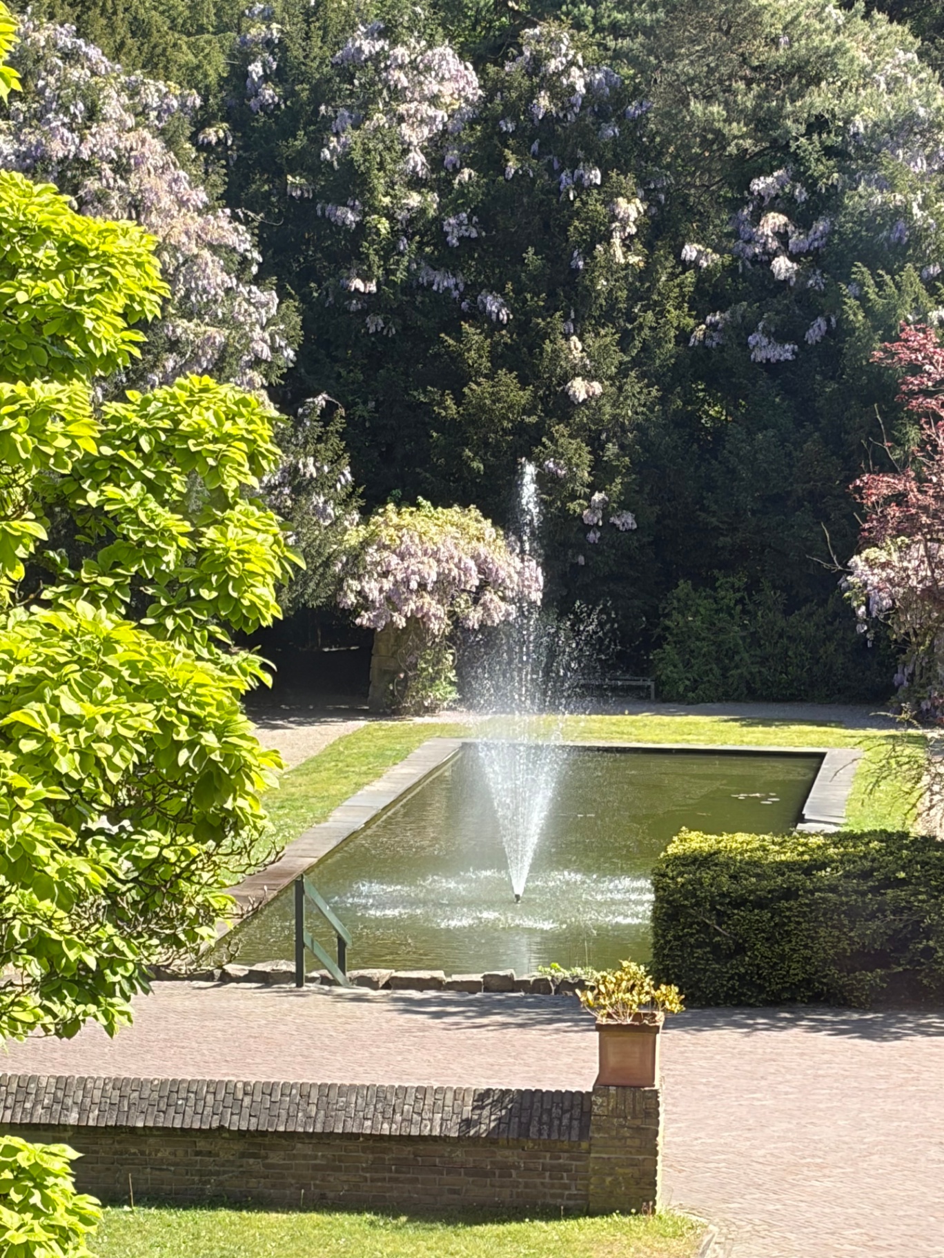 Fontein in de tuin van het Eemklooster met bloeiende blauweregen